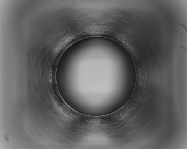 X0000102460631200808081228