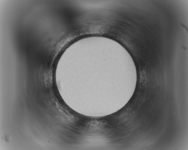 X0000102460632200808081228