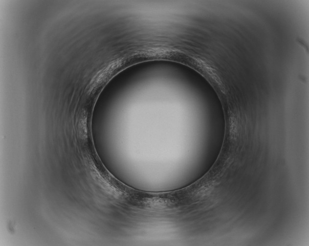 X0000102460633200808081228