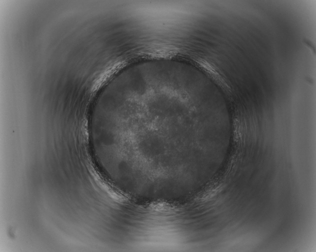 X0000102460634200808081228