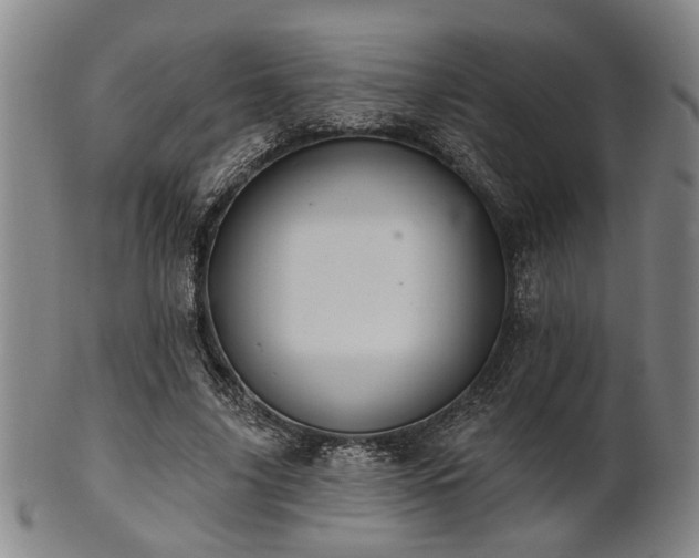 X0000102460635200808081228