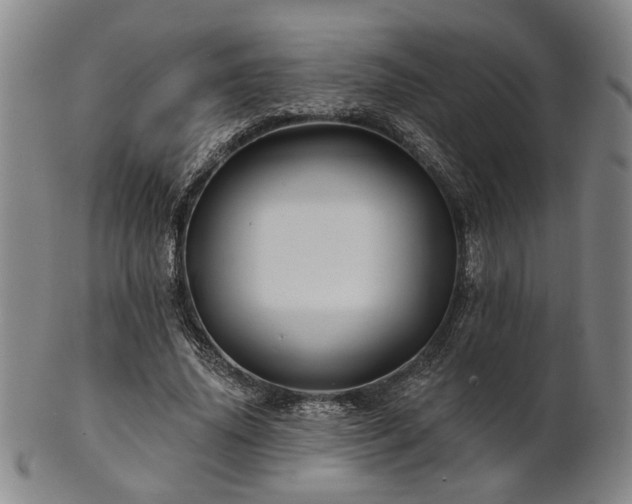 X0000102460636200808081228