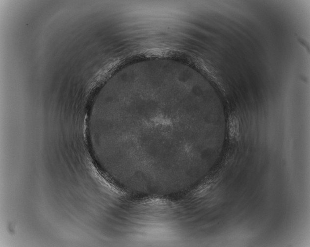 X0000102460637200808081228