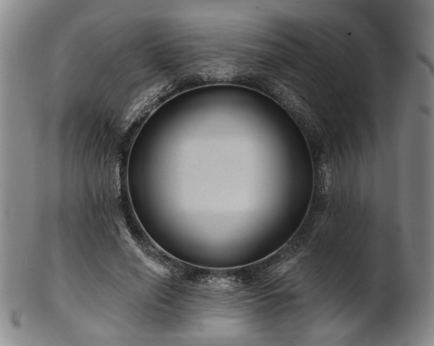 X0000102460638200808081228