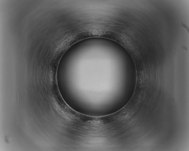 X0000102460639200808081228