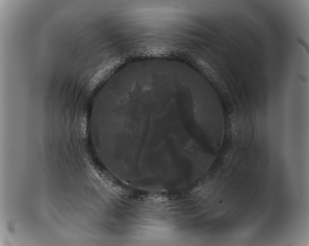 X0000102460640200808081228