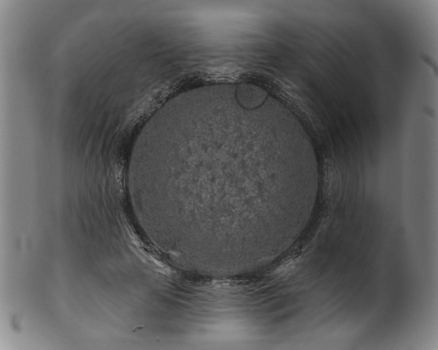 X0000102460641200808081228