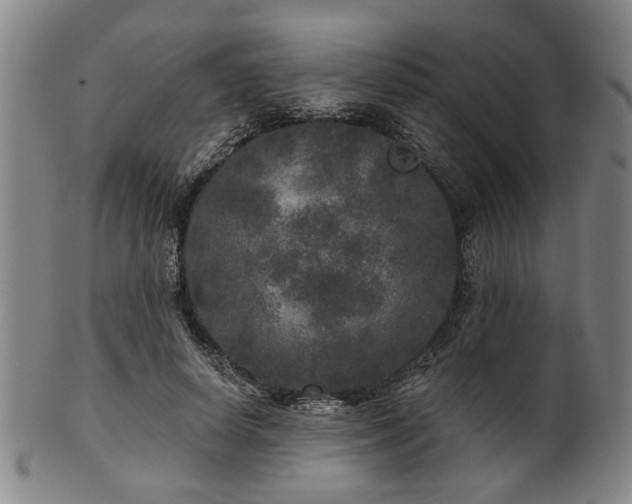 X0000102460642200808081228