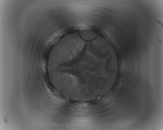 X0000102460643200808081228