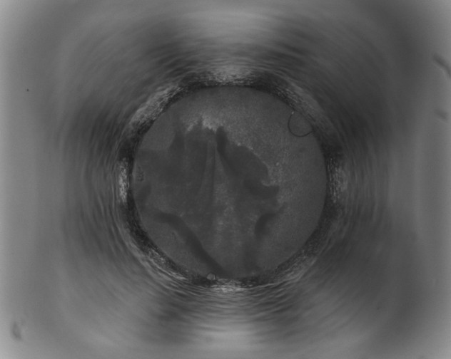 X0000102460644200808081228