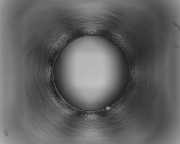 X0000102460645200808081228