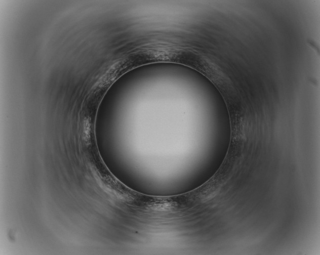 X0000102460646200808081228