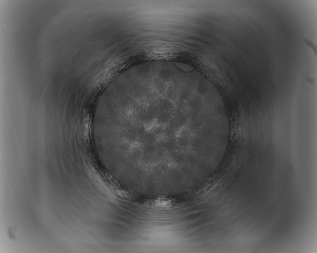 X0000102460647200808081228