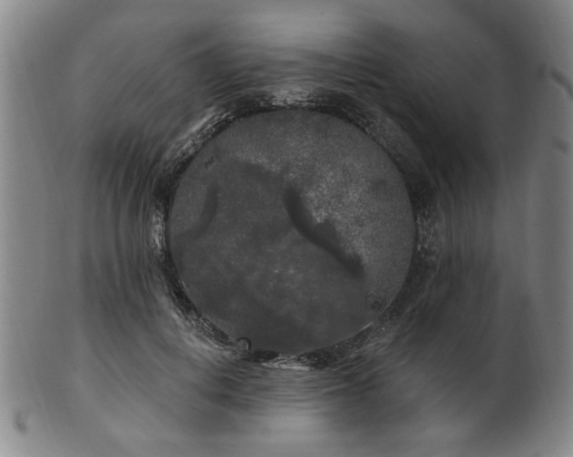 X0000102460648200808081228