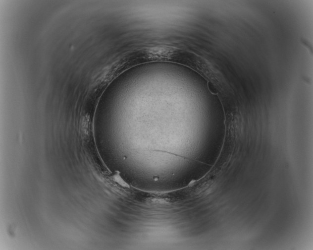 X0000102460649200808081228