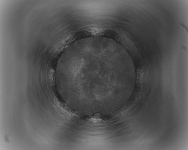 X0000102460650200808081228