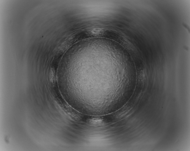 X0000102460651200808081228