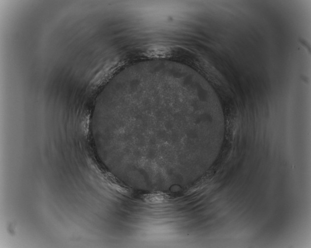 X0000102460652200808081228