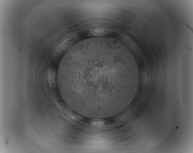 X0000102460653200808081228