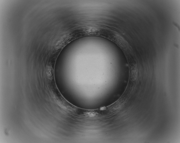 X0000102460654200808081228