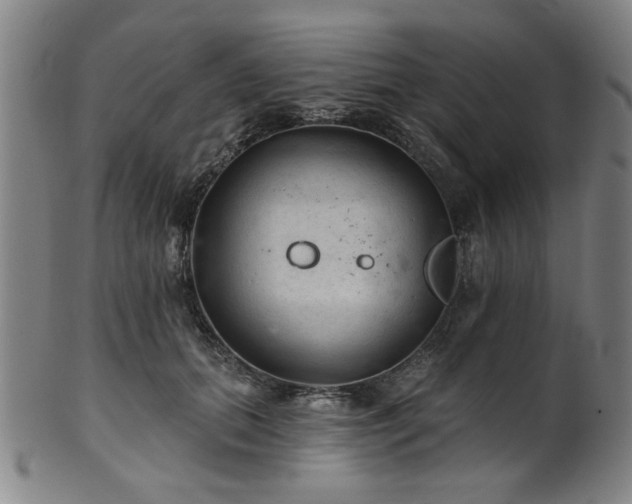 X0000102460655200808081228