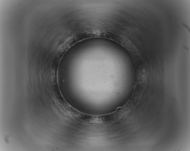 X0000102460656200808081228