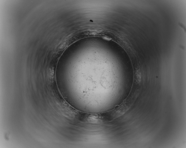 X0000102460657200808081228