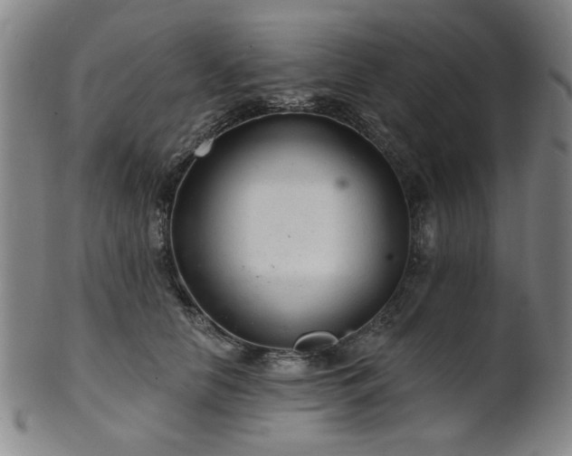 X0000102460658200808081228