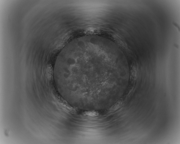 X0000102460659200808081228