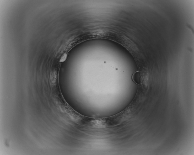 X0000102460660200808081228