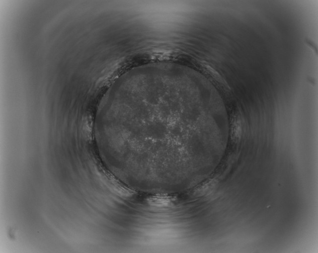 X0000102460661200808081228