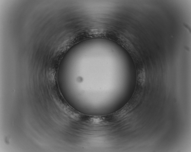 X0000102460662200808081228