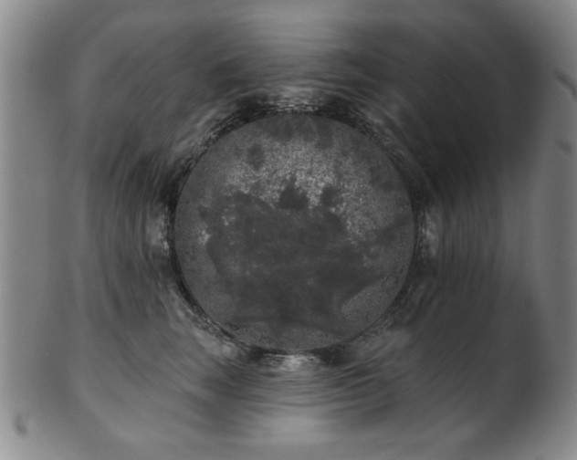 X0000102460663200808081228