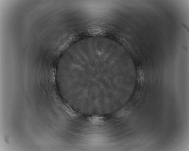 X0000102460664200808081228