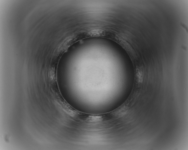 X0000102460665200808081228