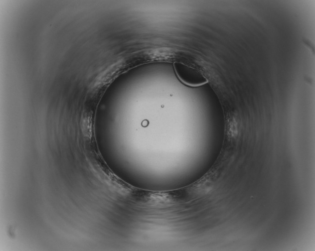 X0000102460666200808081228