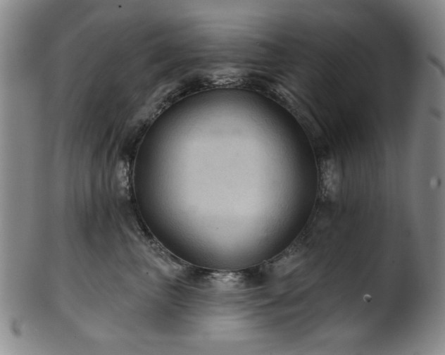 X0000102460667200808081228