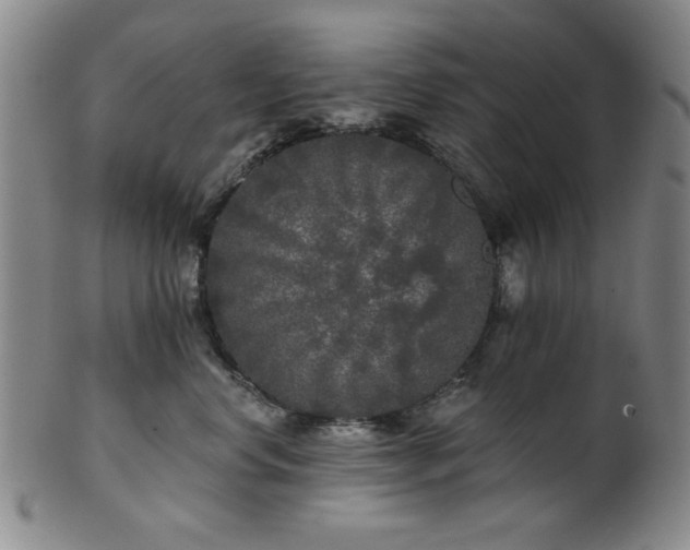 X0000102460668200808081228