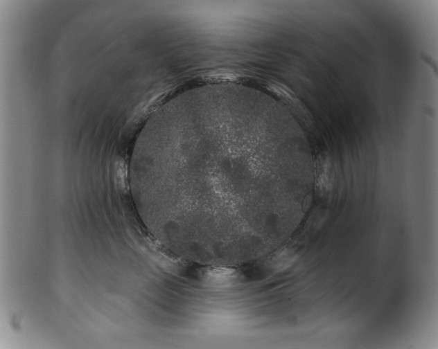 X0000102460669200808081228