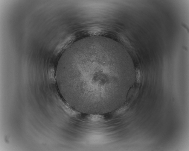 X0000102460670200808081228