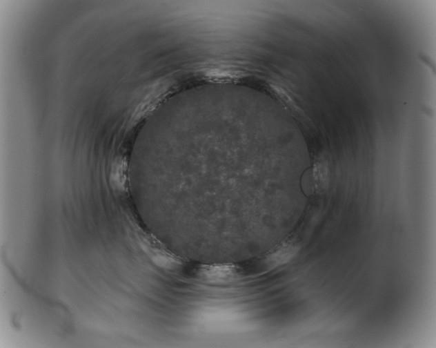 X0000102460671200808081228