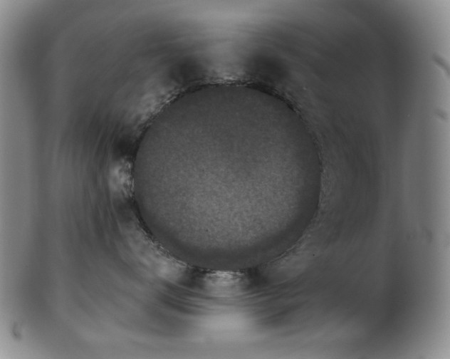 X0000102460672200808081228