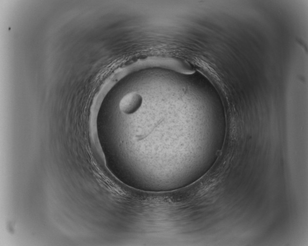 X0000102460673200808081228