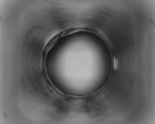 X0000102460675200808081228