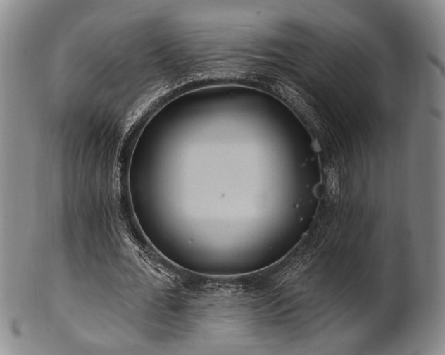 X0000102460676200808081228