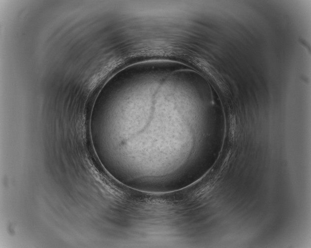 X0000102460677200808081228