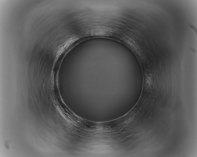 X0000102460678200808081227