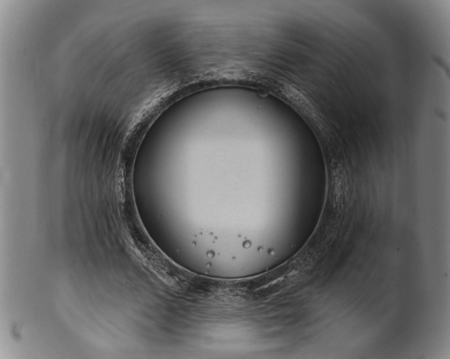 X0000102460680200808081227