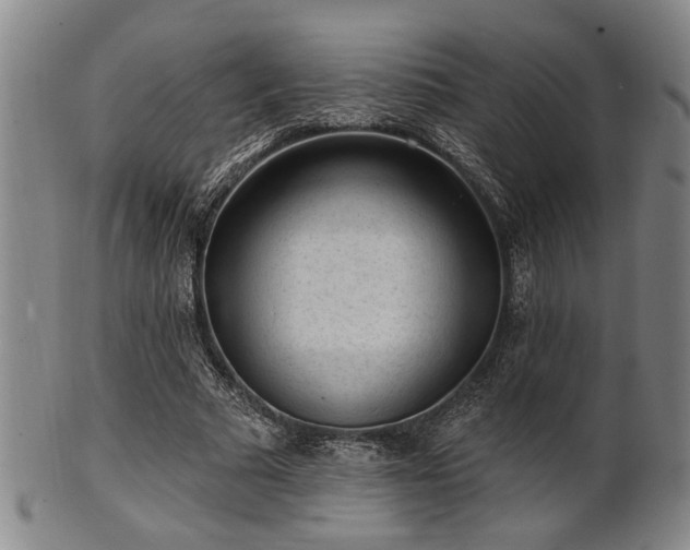 X0000102460681200808081227