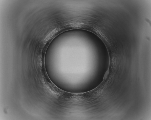 X0000102460682200808081227